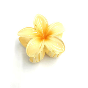 
                  
                    Bloom Hair Clips
                  
                